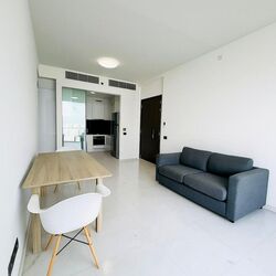 Kallang Riverside (D12), Apartment #499038701